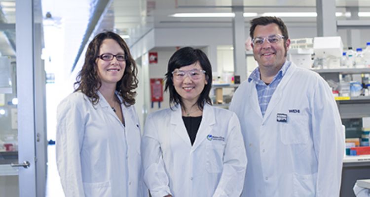 Three researchers in a laboratory