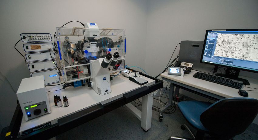 Zeiss Axio Observer microscope set up