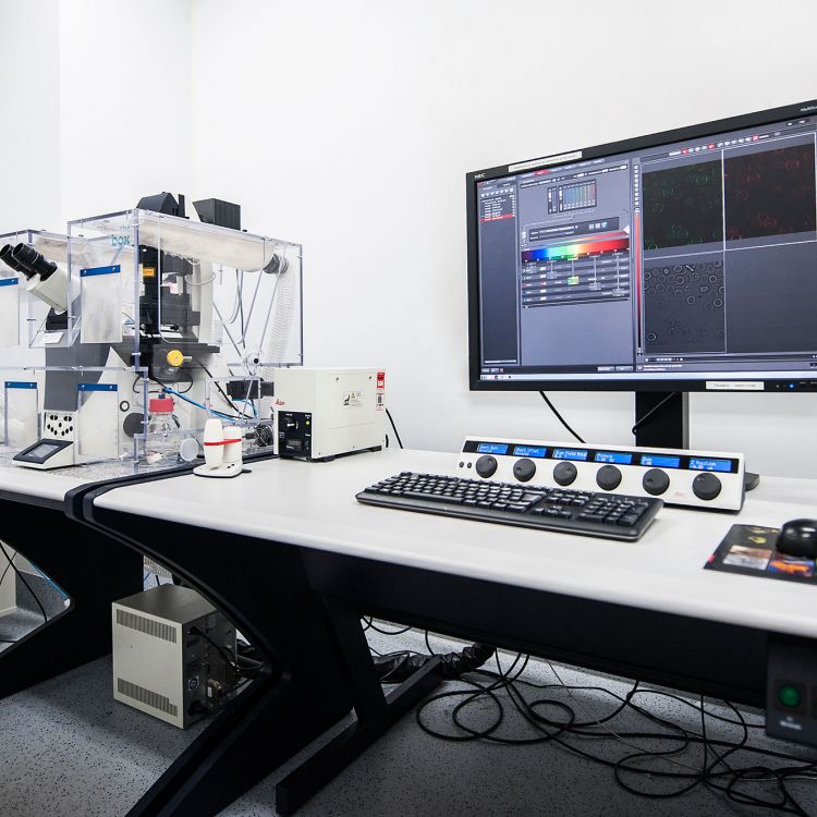 Leica SP8 Resonant Scanning Confocal microscope at the Institute